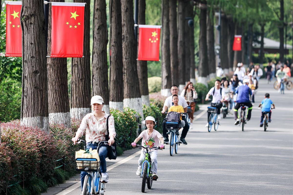 彩宏娱乐